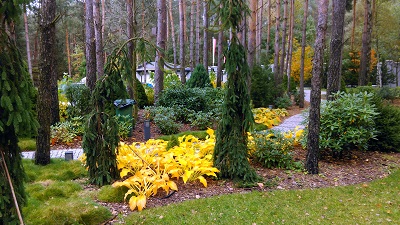 ogród w Białej Podlaskiej