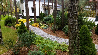 Ścieżka wśród drzew, Ogród w Białej Podlaskiej